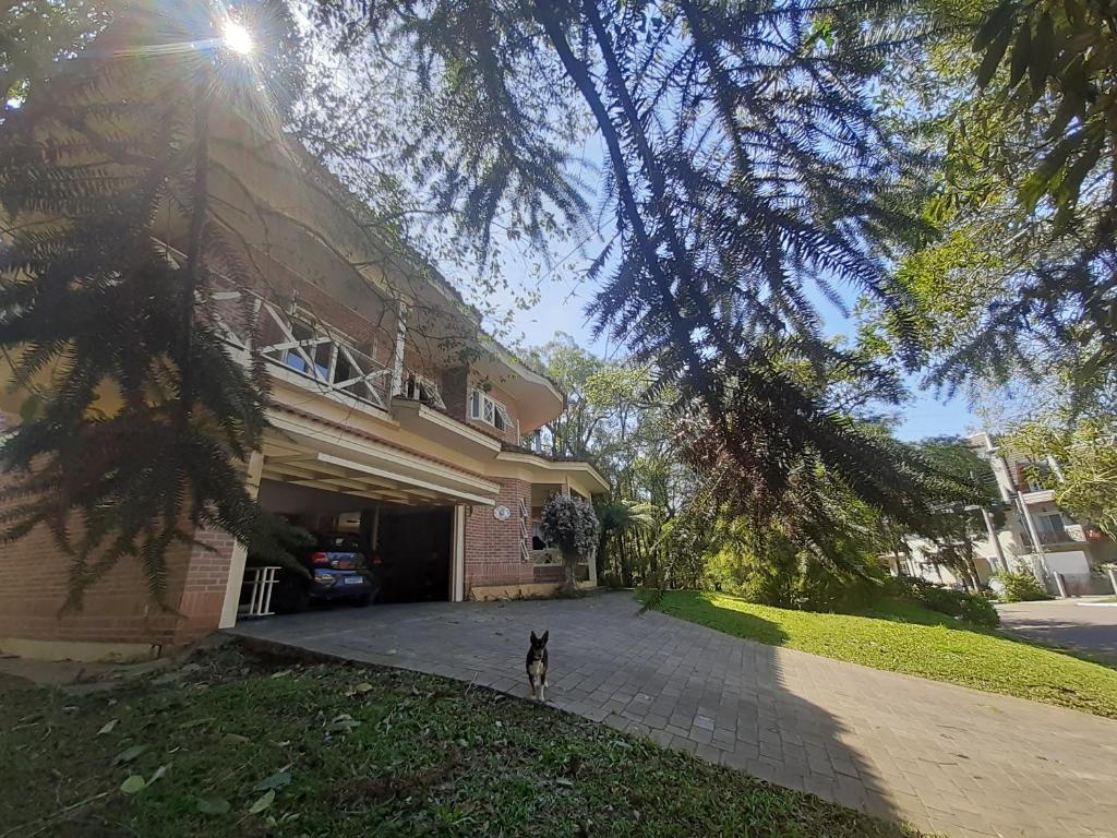 Casa do bosque, confortável, em local espetacular! room 2